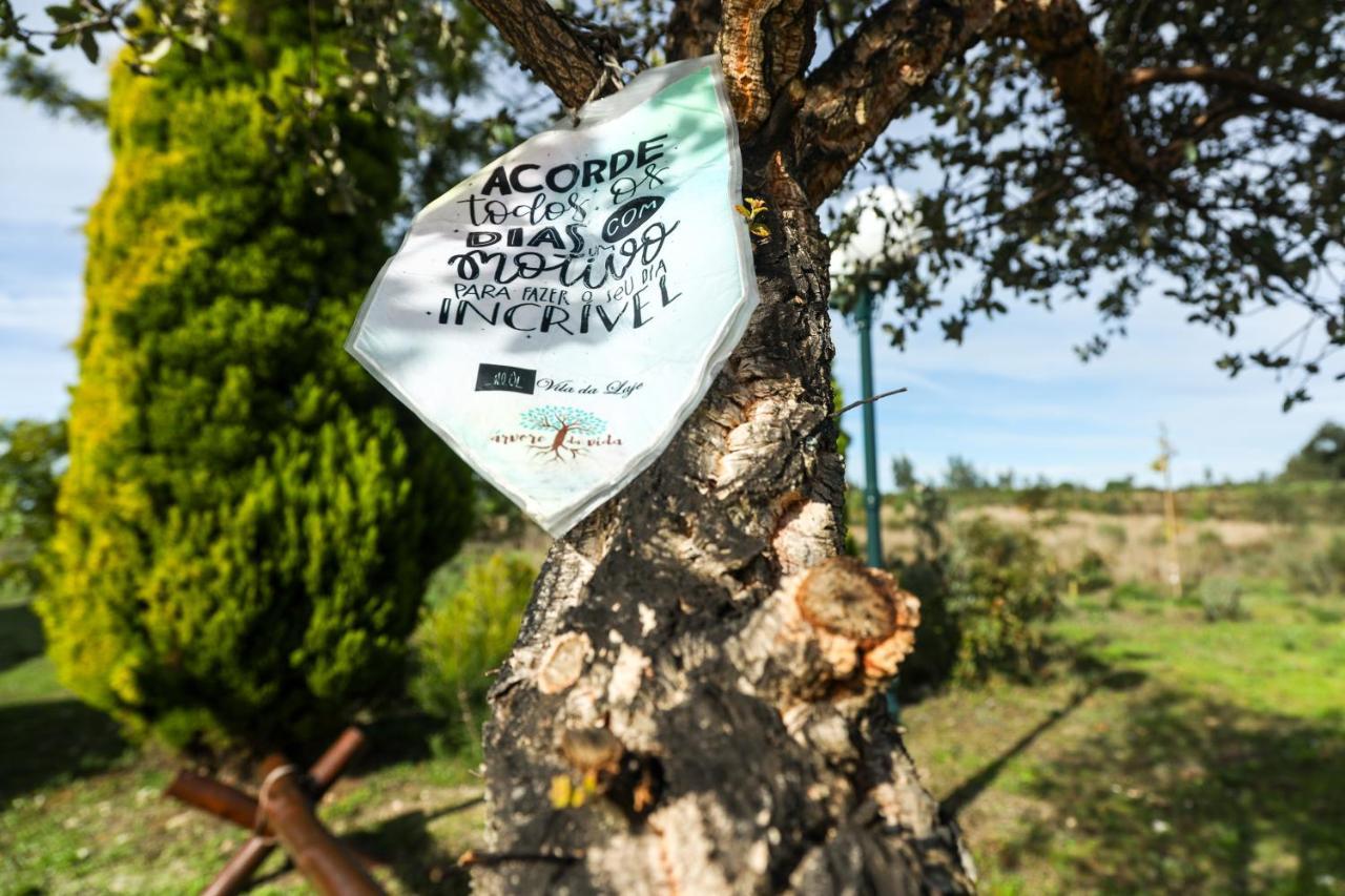 Vila Da Laje - Onde A Natureza O Envolve - Serra Da Estrela Oliveira do Hospital Zewnętrze zdjęcie