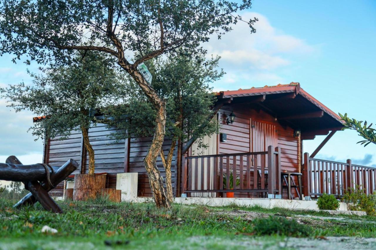 Vila Da Laje - Onde A Natureza O Envolve - Serra Da Estrela Oliveira do Hospital Zewnętrze zdjęcie